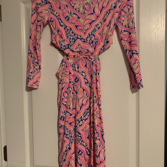 Lily Pulitzer Pippa Dress in XXS NWT - Picture 7 of 7